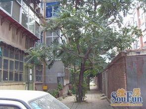 石家庄高柱小区最新爆料,揭秘神秘事件背后的真相 第3张 石家庄高柱小区最新爆料,揭秘神秘事件背后的真相 第3张